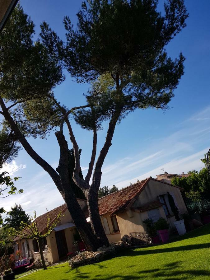 A L'Oree Du Pin Aix-en-Provence Kültér fotó